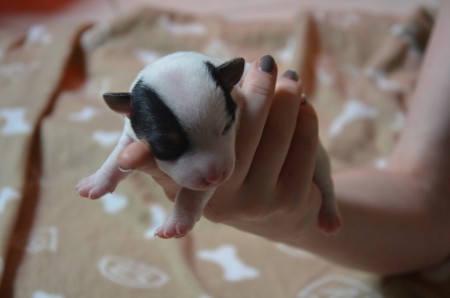 CHANEL - ...ich war Nummer 4 :-)